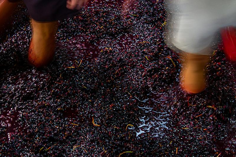 Fiesta de la Vendimia