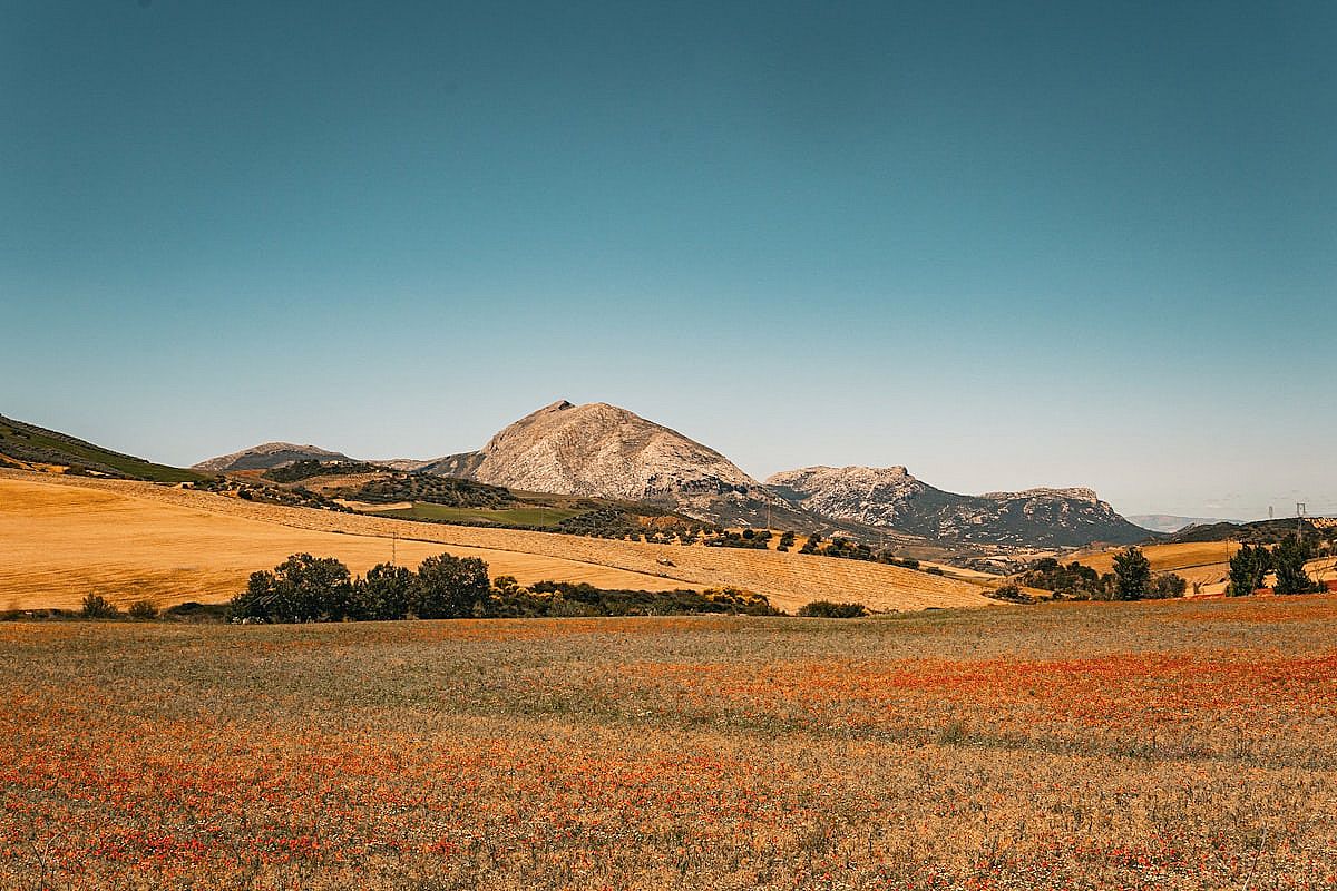 Romería del Rocío - 3