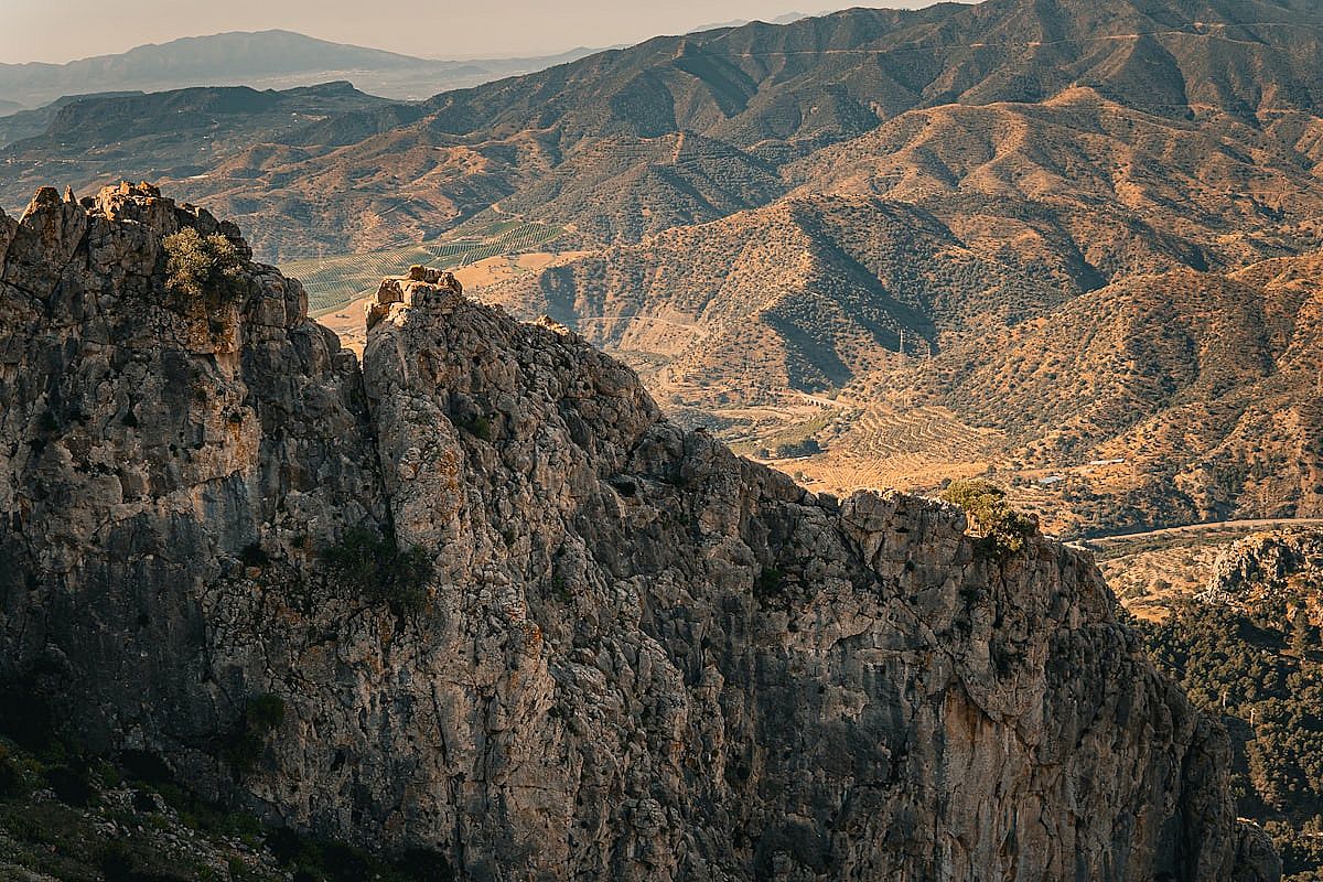 Romería del Rocío - 4