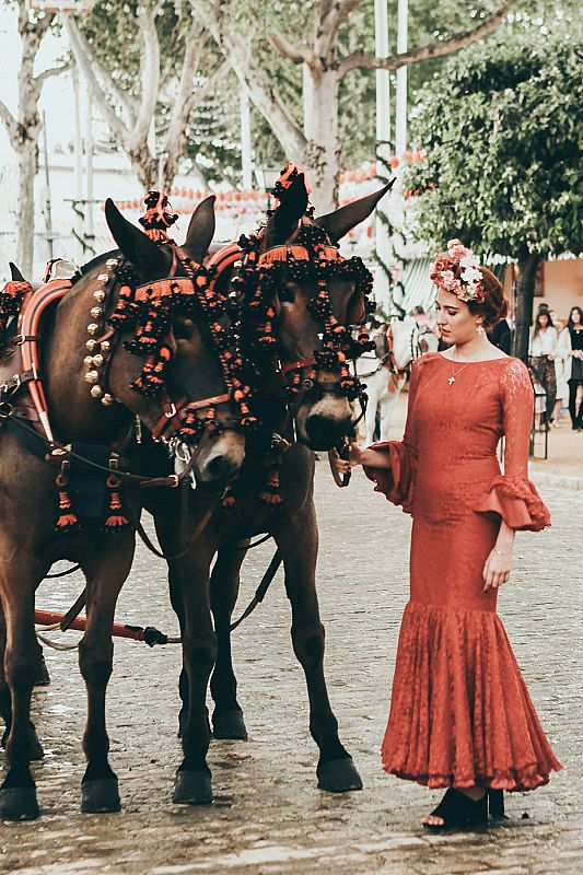 Feria del Caballo de Jerez - 2