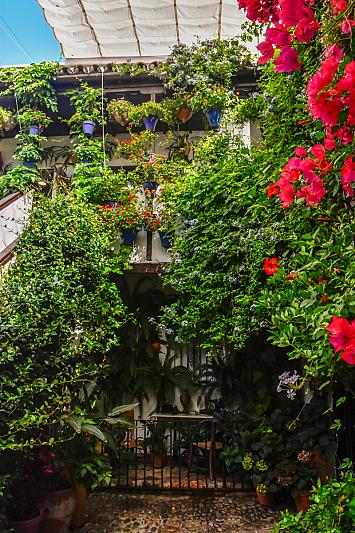 Festival de los Patios de Córdoba