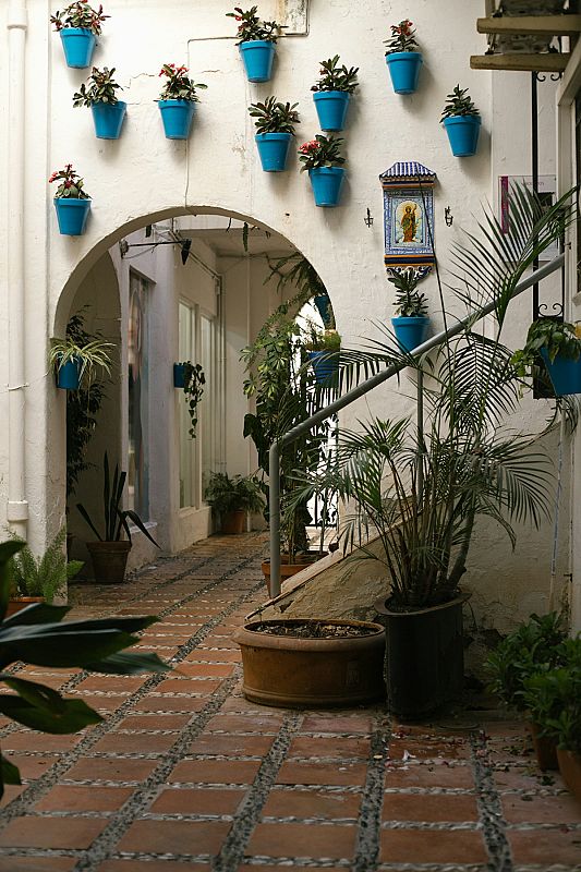 Festival de los Patios de Córdoba - 1