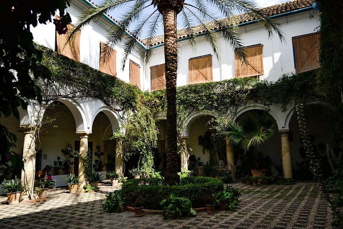 Festival de los Patios de Córdoba - 3