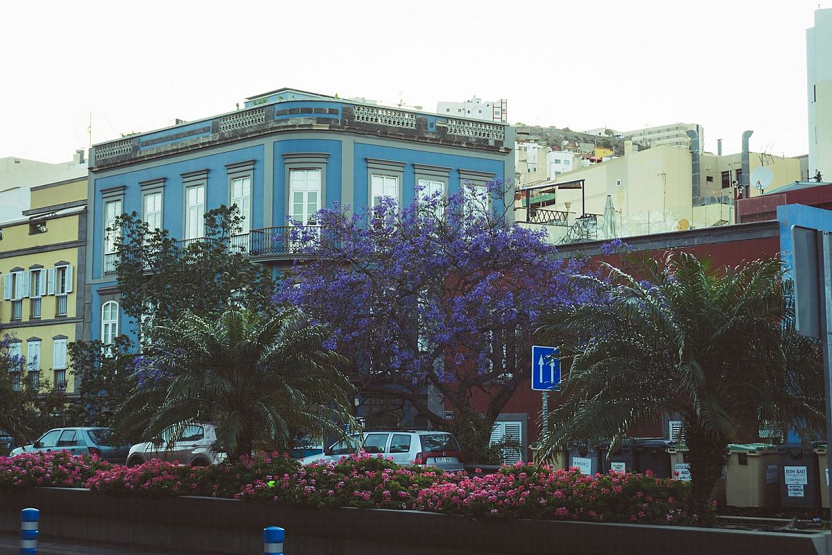 Carnaval de Las Palmas de Gran Canaria - 3