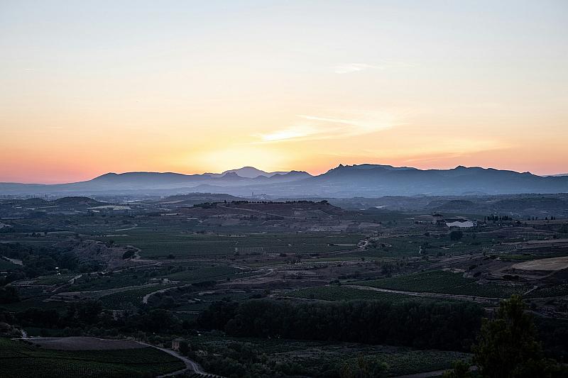 Fiestas de la Vendimia Riojana
