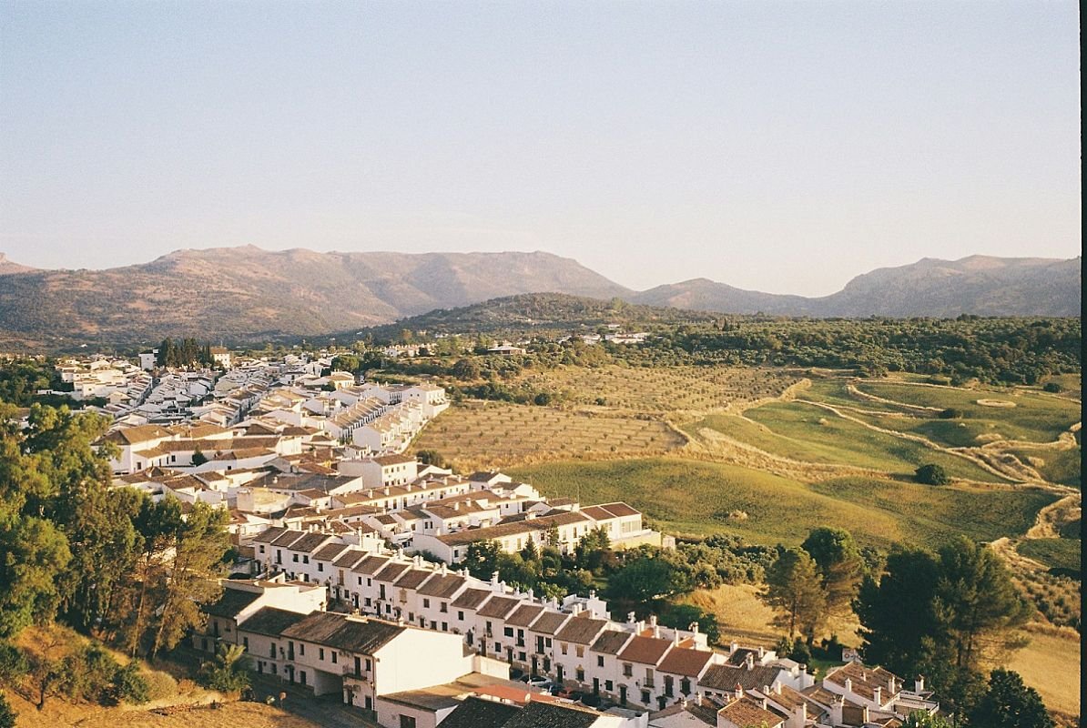 Batalla del Vino de Haro - 3