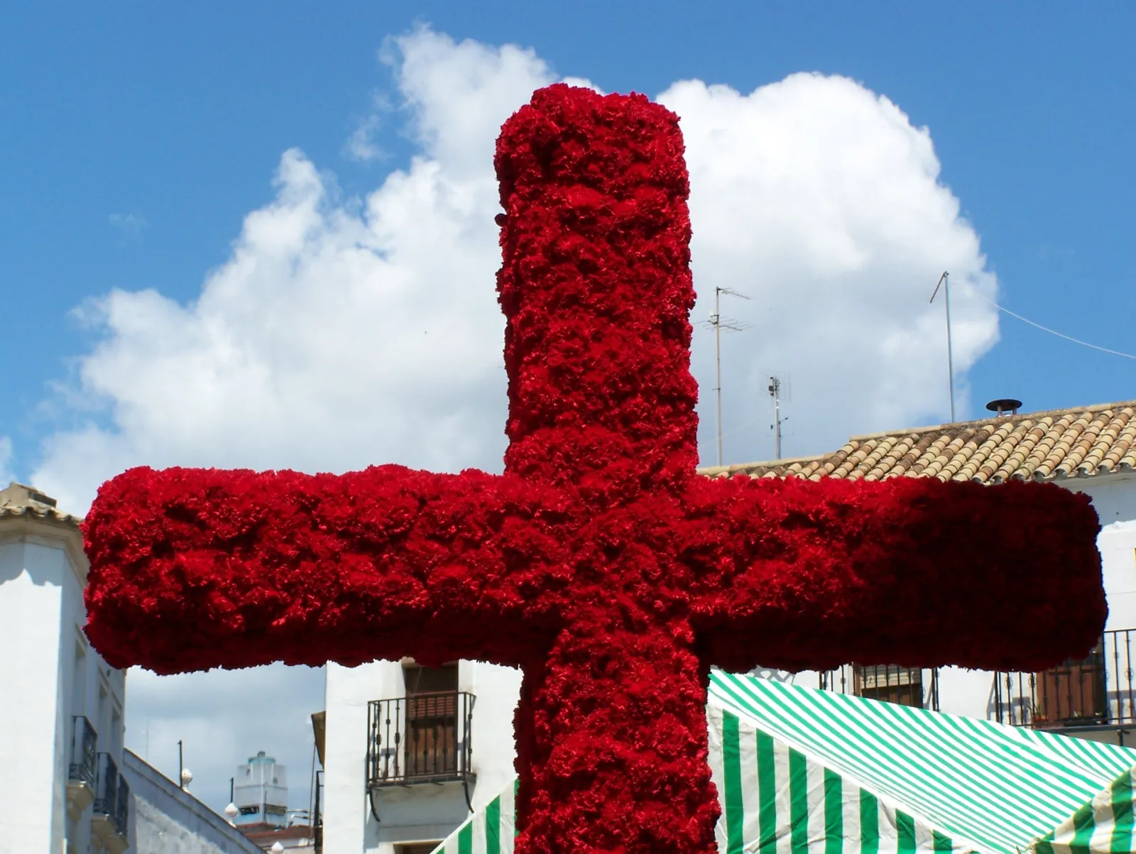 Cruces de Mayo in Córdoba - 3