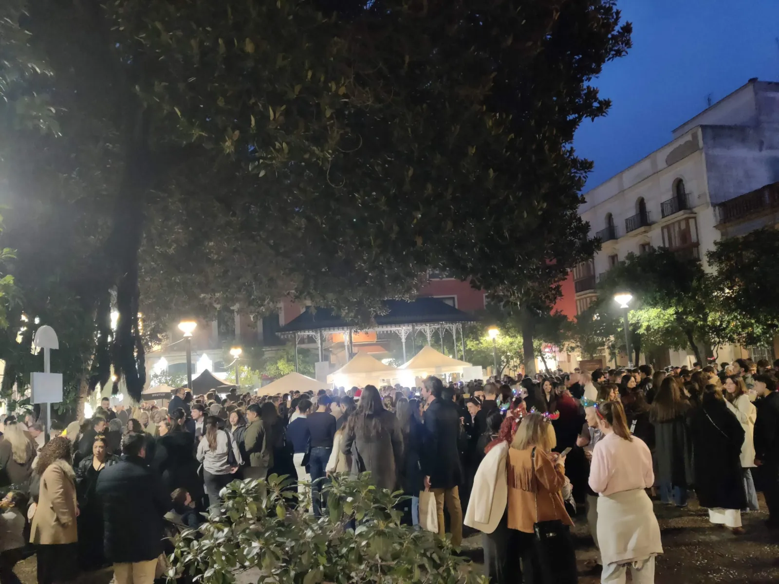Zambombas de Jerez - 4