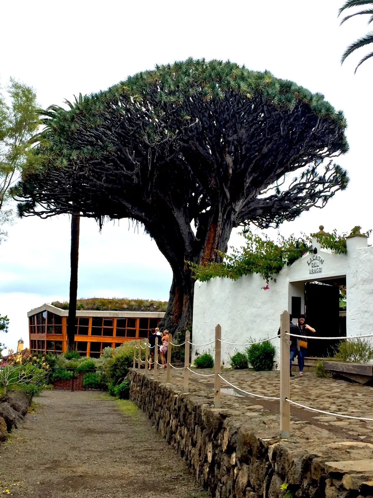 San Andrés in Tenerife - 5